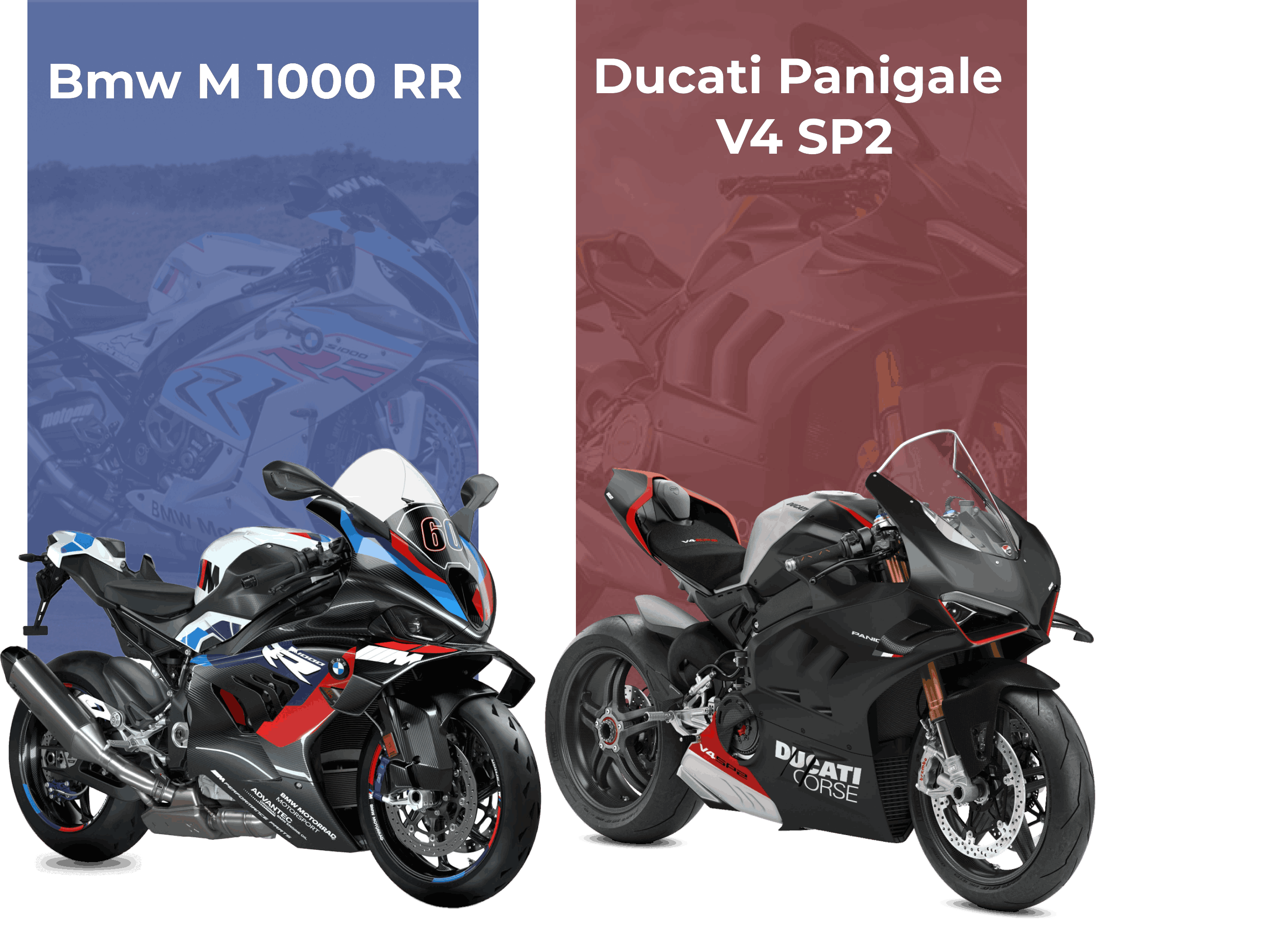 Dieses Bild zeigt einen Preis